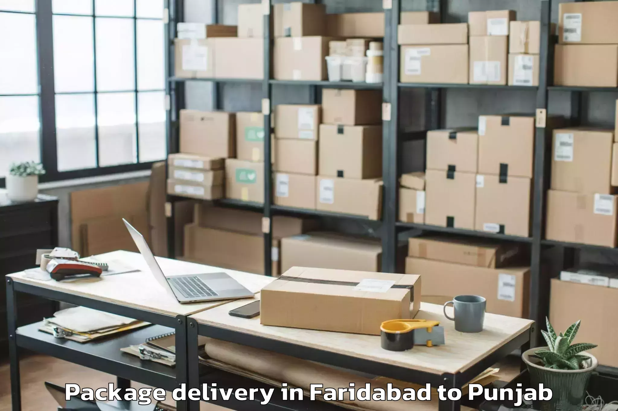 Top Faridabad to Gidderbaha Package Delivery Available